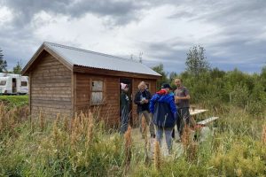 NGO-sy na Islandii i permakultura? 